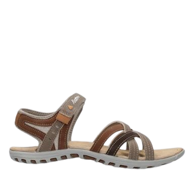 Calery Camel